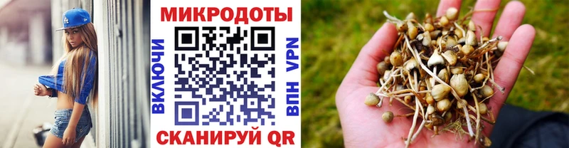 как найти наркотики  Чапаевск  Псилоцибиновые грибы мухоморы 